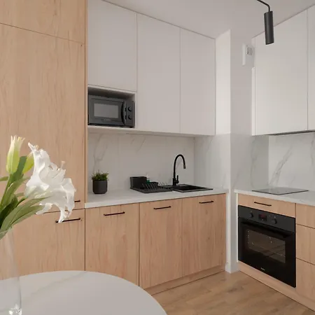 Citystay Diasfera Lodzka Elegancki Apartamentem * ウッチ
