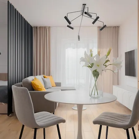 Citystay Diasfera Lodzka Elegancki Apartamentem