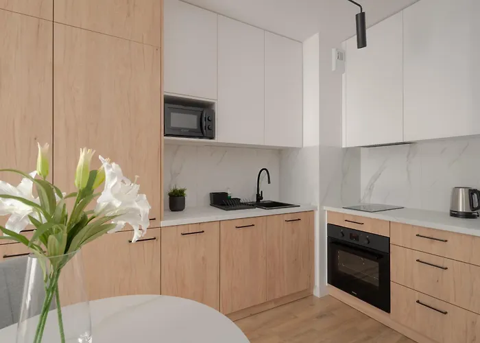 Citystay Diasfera Lodzka Elegancki Apartamentem * ウッチ