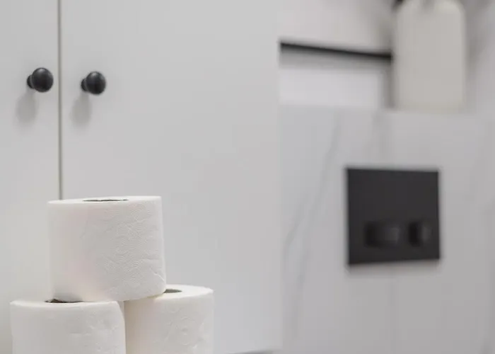 Citystay Diasfera Lodzka Elegancki Apartamentem